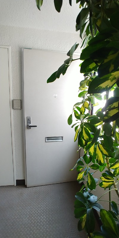 大田区田園調布２丁目の賃貸マンションの玄関|毎日通る玄関はこちらです