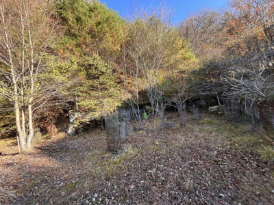 【庭】 | 能勢町天王　別荘地戸建