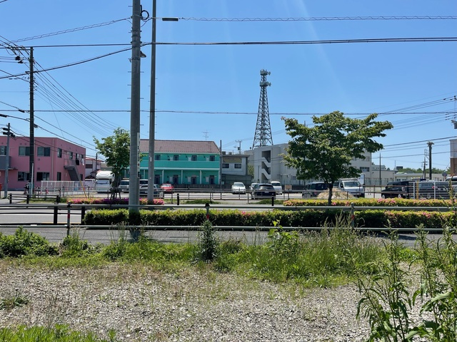 Coral teraの展望