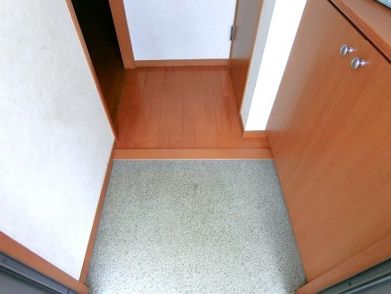 パティオ桜木の玄関|シンプルで使いやすい玄関です