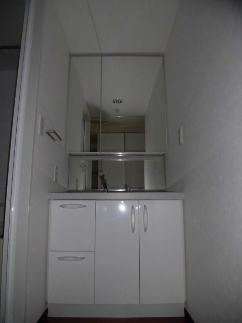 大阪市天王寺区上本町９丁目の賃貸マンションの洗面所