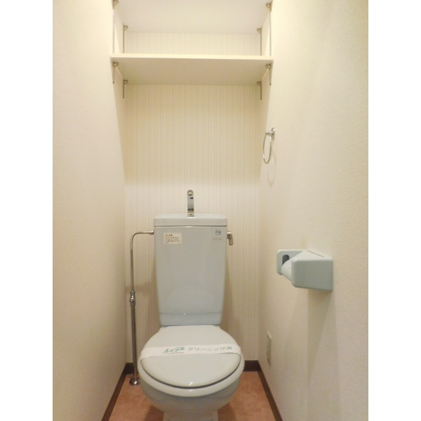 ドミサイルオーミヤのトイレ