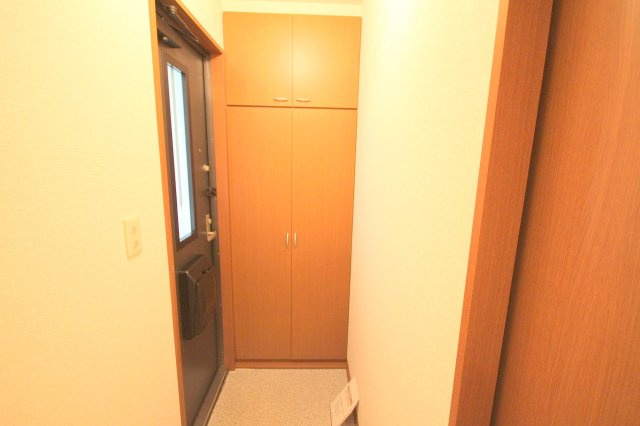 グリーンフォーレスト伊丹B棟の収納|収納豊富です