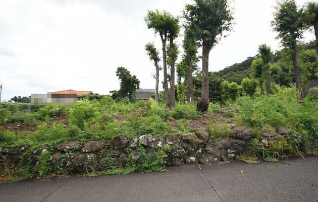 【外観】 | 伊東市川奈　売地