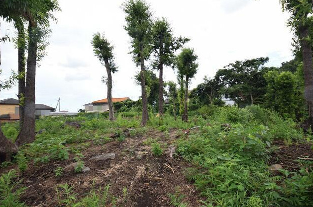 【外観】 | 伊東市川奈　売地