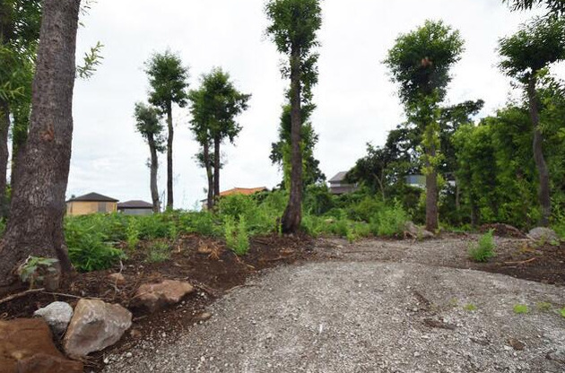 【外観】 | 伊東市川奈　売地