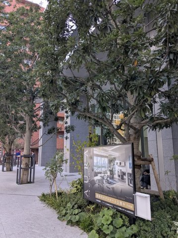 クラッシィタワー新宿御苑の外観