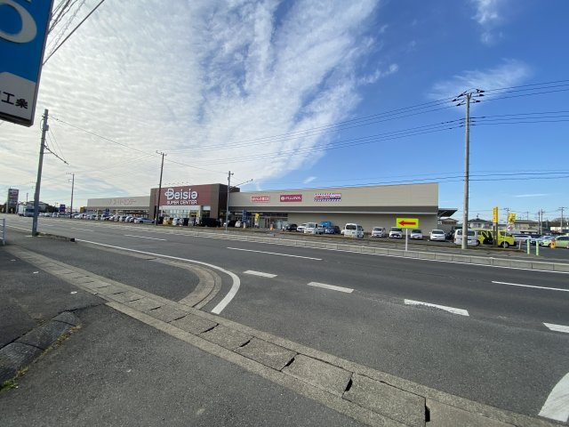 大網貸家の周辺