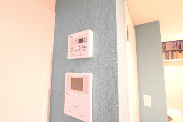 ユナイトＡＮＺＥＮブラバスのその他