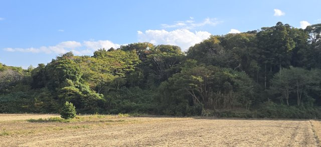 富津市上　売地