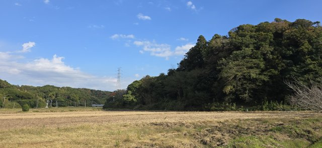 富津市上　売地の外観|赤道約1.8ｍに面す！現況山林！