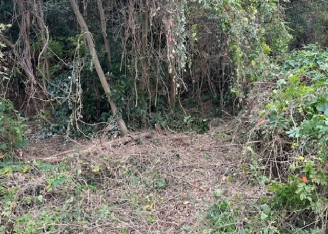 富津市上　売地の外観|秘密基地も作れちゃう