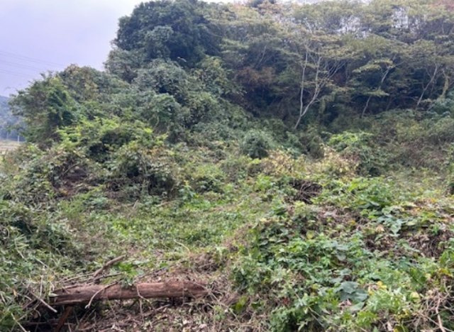 富津市上　売地の周辺|キャンプにグランピングに♪