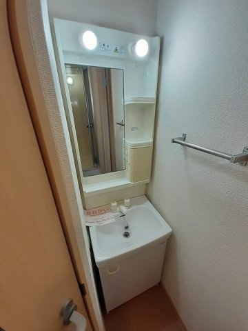 グリーンコーポの洗面所