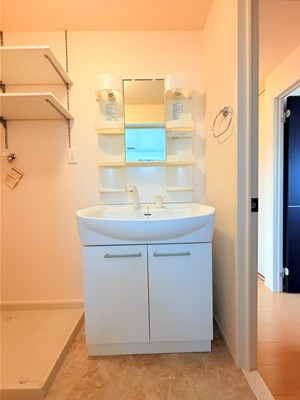 レスペートB棟の洗面所