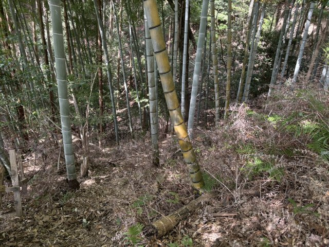 下田市　大賀茂の外観