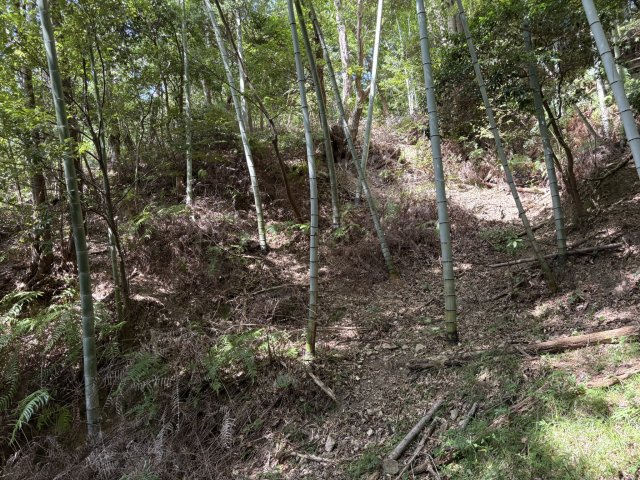 下田市　大賀茂の外観