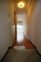 きれいな玄関です