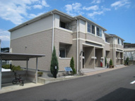 プリマヴェーラの画像