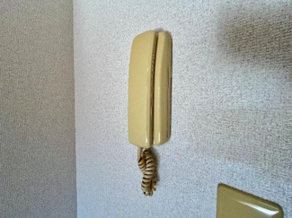 【内装】 | エヴァーグリーン | インターホン