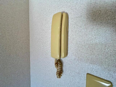 【内装】 | エヴァーグリーン | インターホン