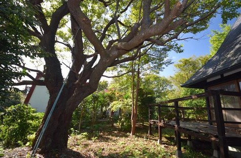 【庭】 | 大室高原別荘地　戸建