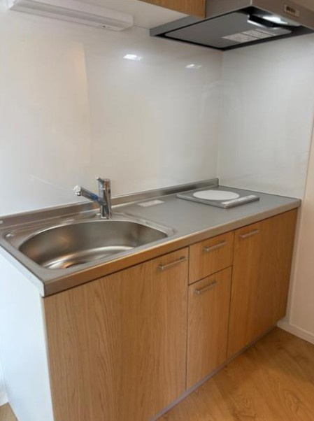 スワンクロスビルのキッチン