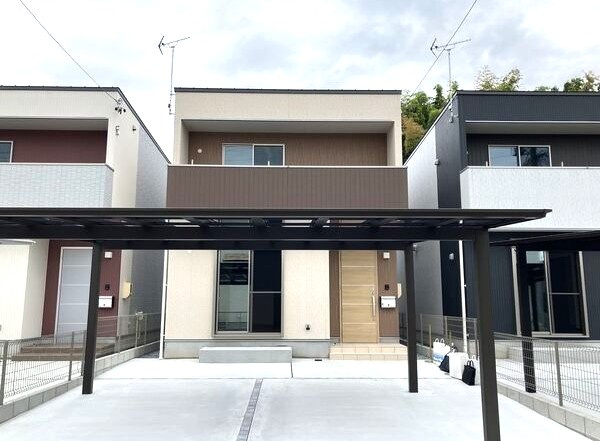 毛受コダテックスＢ