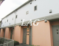 トライブロスの画像