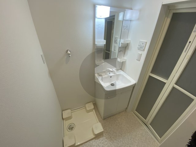 エムズコート吉田の洗面所