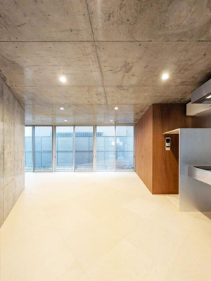  | ＳＨＩＮＪＵＫＵ　ＮＥＷ　ＶＩＬＬＡ