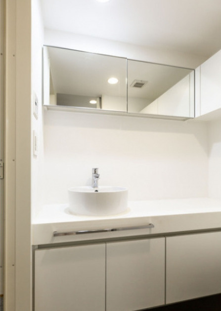 パークフラッツ中目黒　ペット相談　トランクルーム　南向きの洗面所