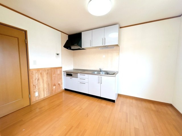 住吉　売中古住宅のキッチン|現況販売のため現況有姿でのお引渡しになります。