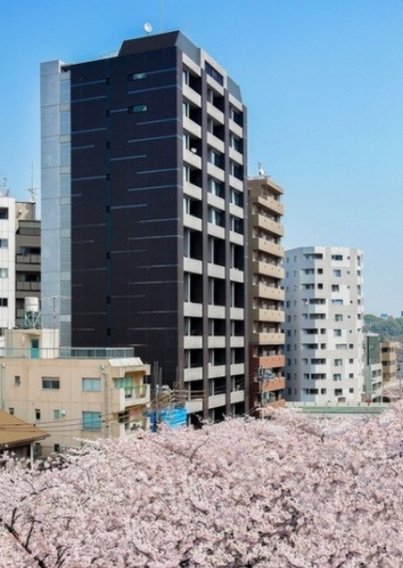 パークフラッツ中目黒　ペット相談　トランクルーム　ウォークインクロゼット　南向き