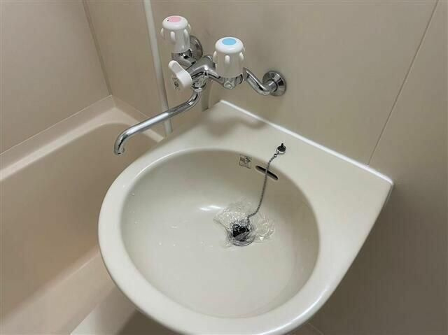 ラグジュアリーアパートメントデュオ神楽坂の洗面所