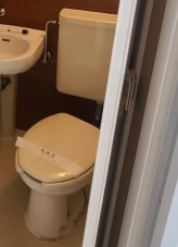 広島市安佐南区西原４丁目の賃貸マンションのトイレ