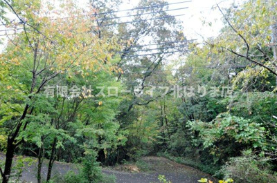 【展望】 | 加東市黒谷