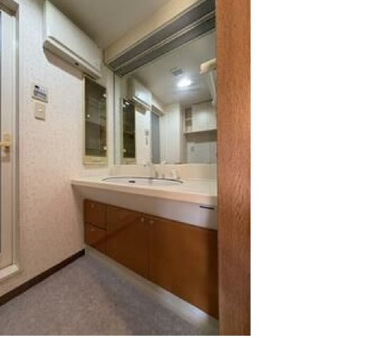 売マンション　小山市駅東通りの独立洗面台