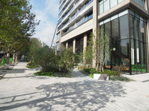 パークシティ中央湊ザタワーの画像