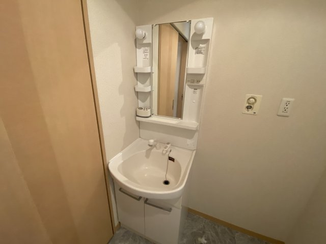 シャーメゾン南条Ｂ棟の洗面所