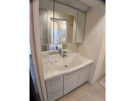 ハウスバーンフリート宇品東の独立洗面台