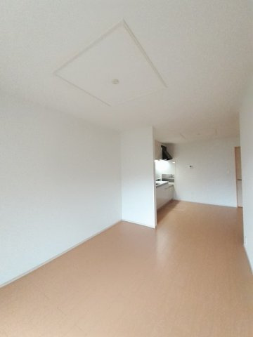 ワンピースのその他