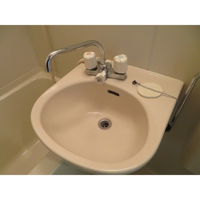 【洗面所】 | ライフピア松ノ木Ｂ棟 | 洗面ボール