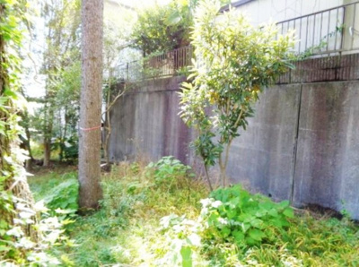【庭】 | 芦屋市奥池町　中古戸建