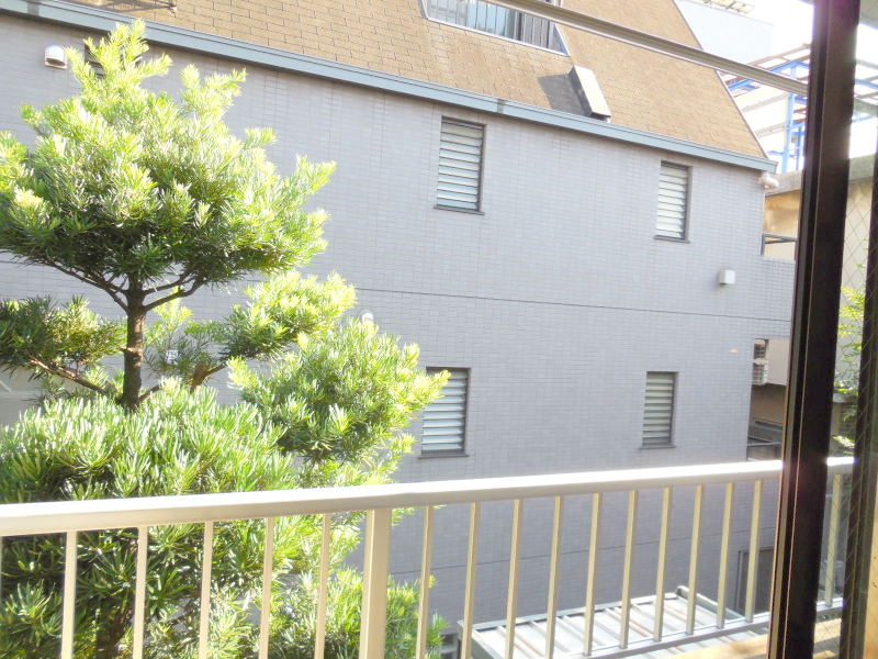 ヴィラクリザンテム白金の展望