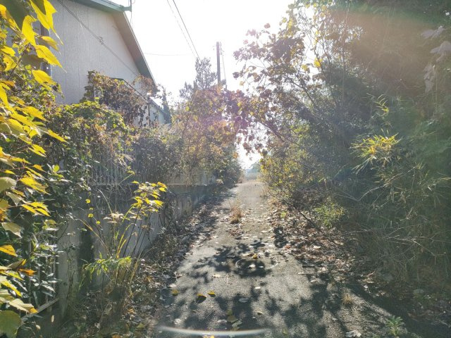 【前面道路含む現地写真】 | 鉾田市阿玉　中古戸建