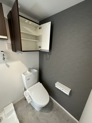 【トイレ】 | アリア・グランデ上大岡 | 同施工タイプ