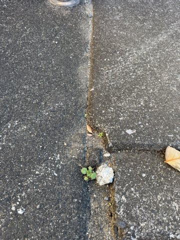 -三丁目不動産-深谷市原郷のその他