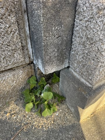 -三丁目不動産-深谷市原郷のその他