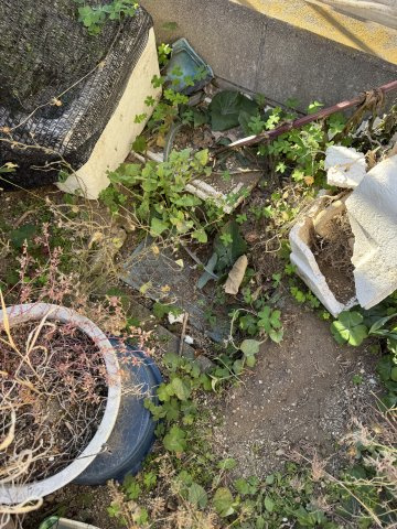 -三丁目不動産-深谷市原郷の庭